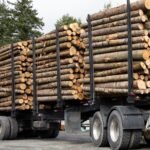 Kastanienholz in Stämmen – LKW-Ladung mit 50 Ster